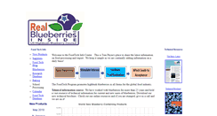 Desktop Screenshot of blueberrytech.org