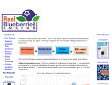 Tablet Screenshot of blueberrytech.org